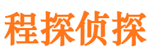 盐池侦探公司